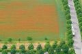 bild002 bild002