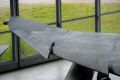 bild016 bild016